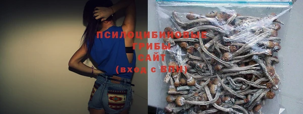 бошки Балахна