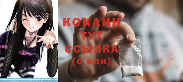 индика Баксан