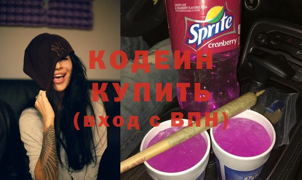 индика Баксан