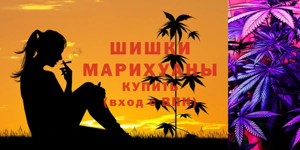 индика Баксан