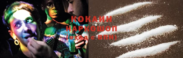 индика Баксан