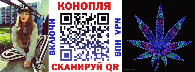 площадка Telegram Ершов Каннабис THC 21%